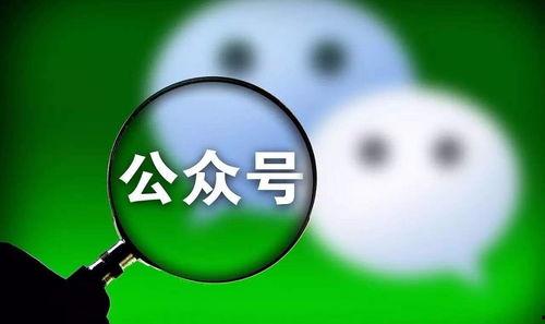 吃瓜群众cj的公众号,揭秘娱乐圈那些不为人知的幕后故事